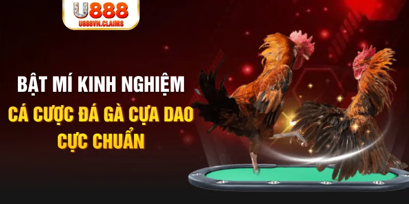 11bet org trong baccarat, ai là người chia bài chính？