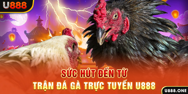 11bet org hòn gà chọi