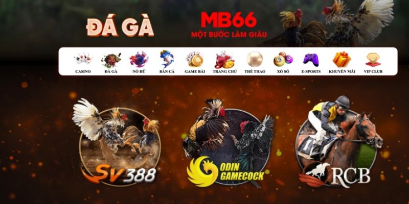 11bet org Bài Poker Hoàn Toàn Mỹ