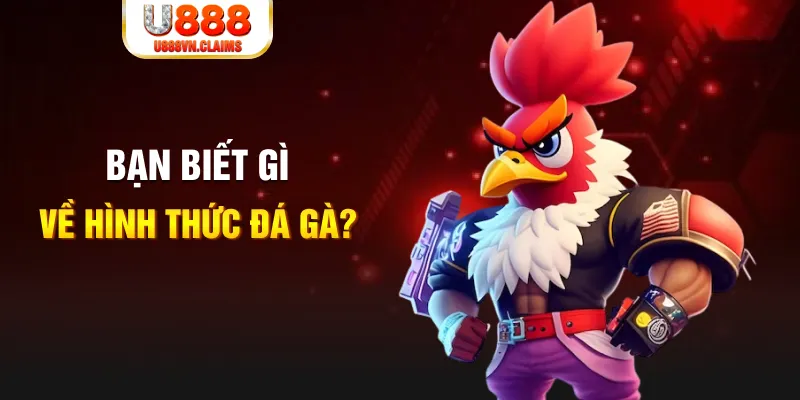 11bet org đăng nhập mậu binh dễ thắng