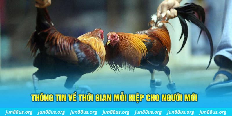 11bet org Long Hổ 2