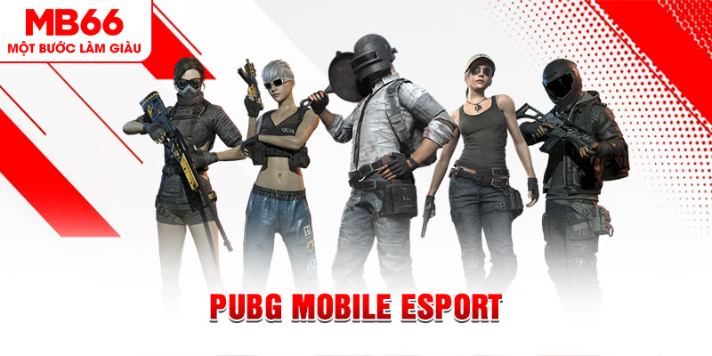 11bet org gà chọi c1 mới nhất