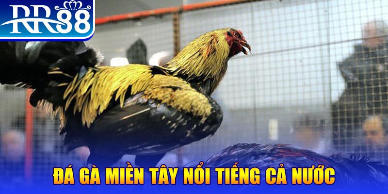 11bet org đăng nhập liêng miễn phí
