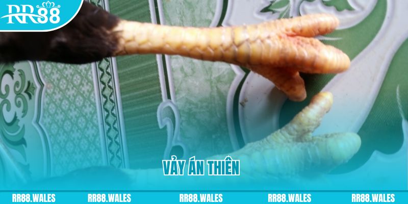 11bet org who wants to be a millionaire slot